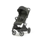 Colore Inglesina: sequoia green