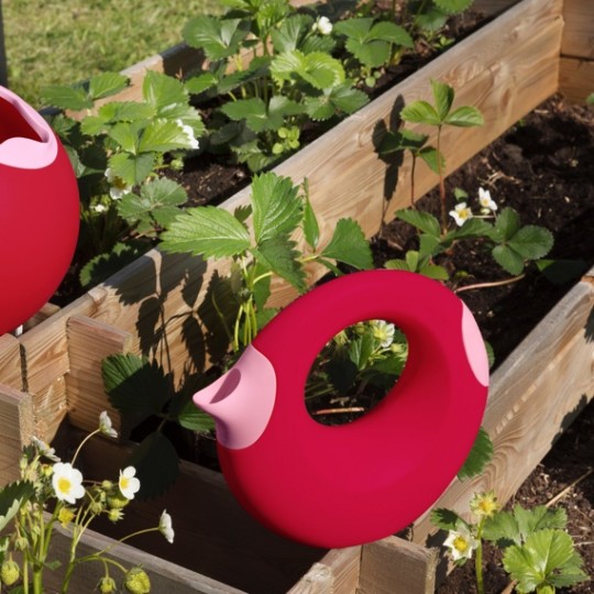 Quut - Cana L Giocattolo e Innaffiatoio 1L - Colore: Rosso
