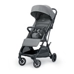 Colore Inglesina: snap grey