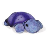 Colore: Viola
