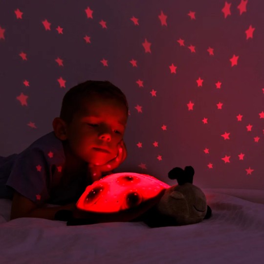 Raccontastorie per Bambini e Luce da Notte