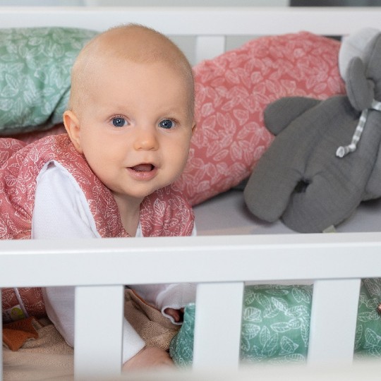 Baby Nest - Sacco Nanna PrimaClima Tog 2.5 (70cm) - Colori Baby Nest: Mirtillo con foglie