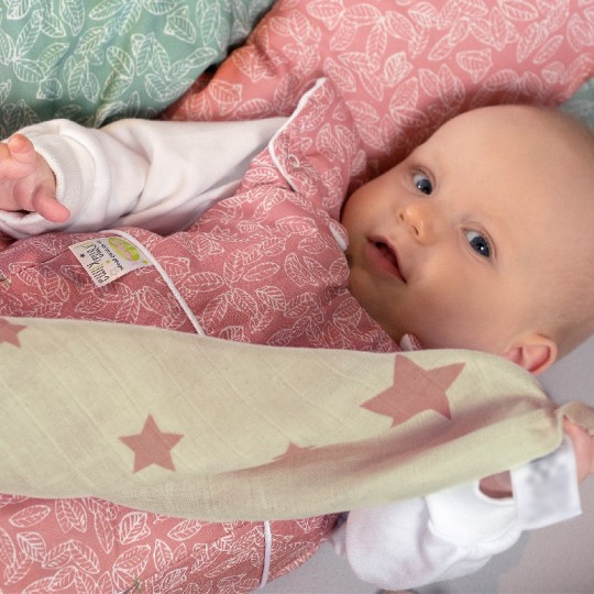 Baby Nest - Sacco Nanna PrimaClima Tog 2.5 (70cm) - Colori Baby Nest: Mirtillo con foglie