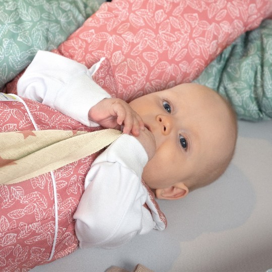 Baby Nest - Sacco Nanna PrimaClima Tog 2.5 (70cm) - Colori Baby Nest: Mirtillo con foglie