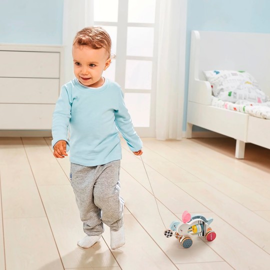 Topbright - Gioco trascinabile da tirare bambino 1 anno Lepre e Tartaruga