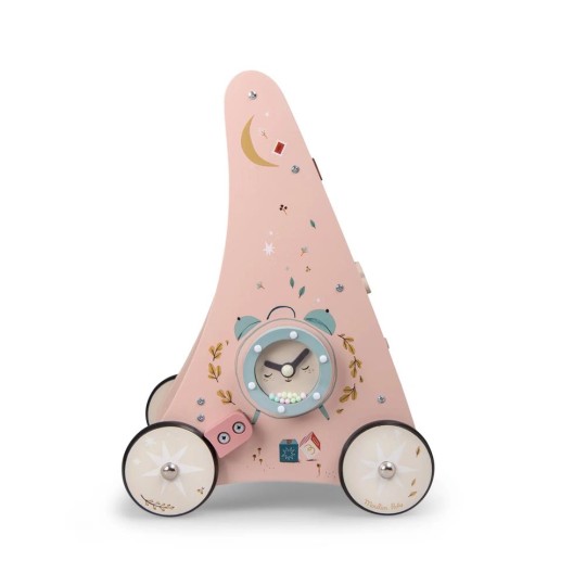 Moulin Roty - Carrello primi passi attività - Dai 12 mesi - Versioni Moulin Roty: Après La Pluie