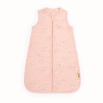 Versioni Moulin Roty: Ecole Le Danse