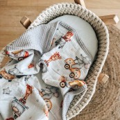 Nannafrufrù - Coperta Culla 90x65cm - 100% Cotone organico - Colore Nannafrufrù: Cars