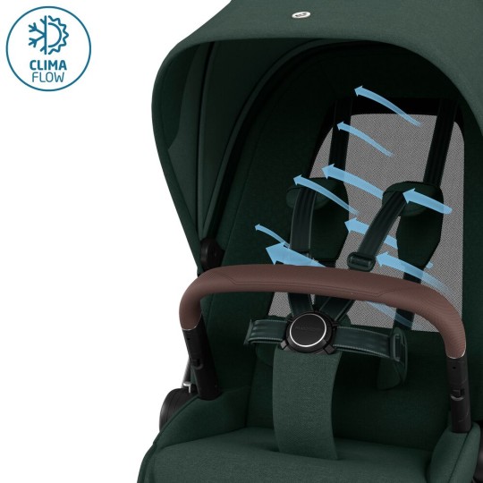 Maxi Cosi - Duo Fame passeggino e navicella - Massimo comfort per bambini e genitori - Colore Maxi - Cosi: Twillic Green