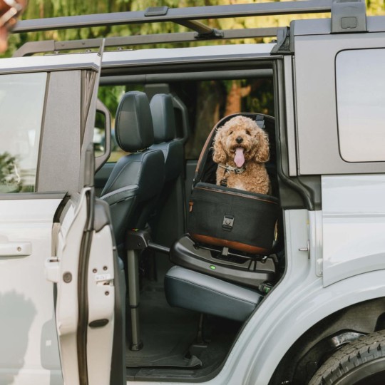 Tavo Pets - Seggiolino auto per animali Maeve - Versione Tavo Pets: Medium Flex - Fino a 12kg, Colore Tavo Pets: Fawn