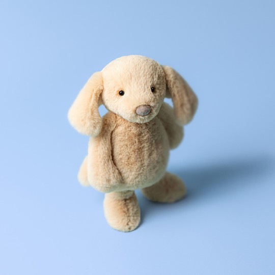 Jellycat - Peluche morbido Cucciolo timido Orlando - Taglie Jellycat: M