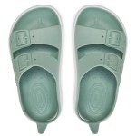 Colore Boatilus: Pastel Green White