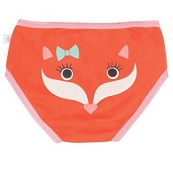 Zoocchini - Mutandine di apprendimento 2/3 Anni - Training Pants - Disegno: Foresta Incantata