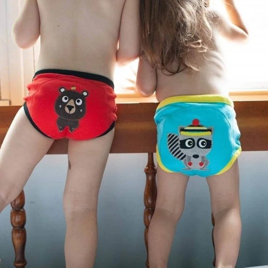 Zoocchini - Mutandine di apprendimento 2/3 Anni - Training Pants - Disegno: Foresta