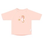 Colori Saro: Seahorse