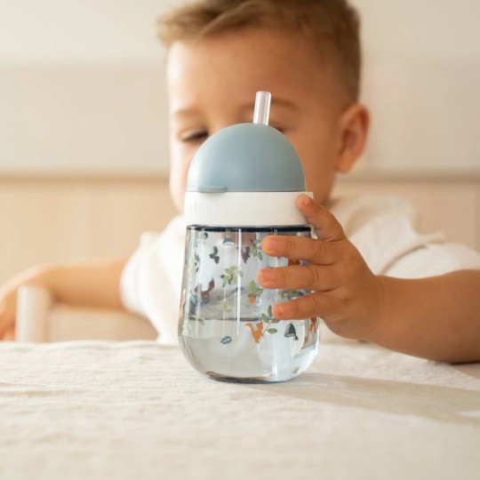 Little Dutch - Borraccia con cannuccia 300ml - Dai 9 mesi - Colori Little Dutch: Forest Friends