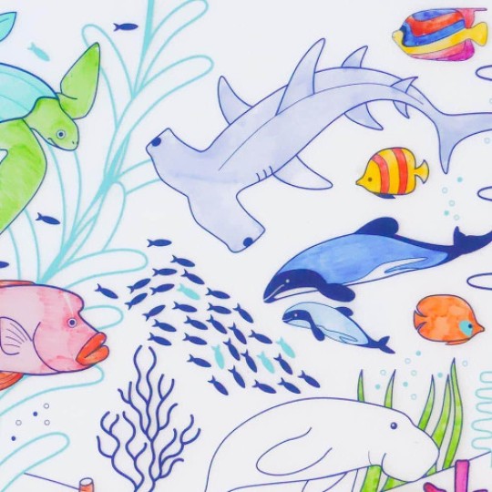 Super Petit - Tovaglietta in silicone da colorare con 5 pennarelli - 40x30cm - Disegno: Barriera Corallina
